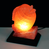 Fish Shaped Salt Lamp