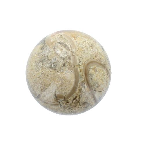 Fossil Stone Sphere