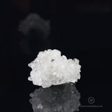 Clear Apophyllite Cluster
