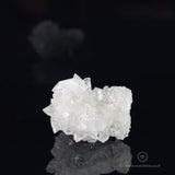 Clear Apophyllite Cluster