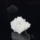 Clear Apophyllite Cluster