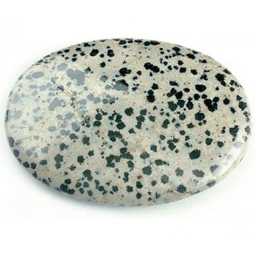 Jasper Dalmatian Palmstone