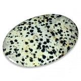 Jasper Dalmatian Palmstone